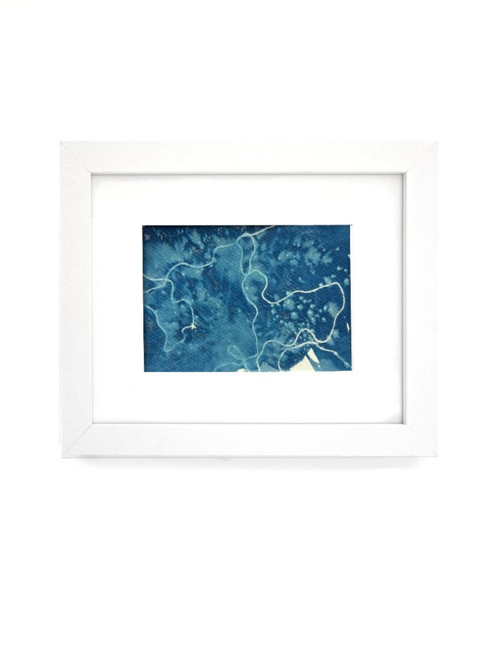 Framed Original Artwork, Cyanotype, In The Wind, 5x7 finished